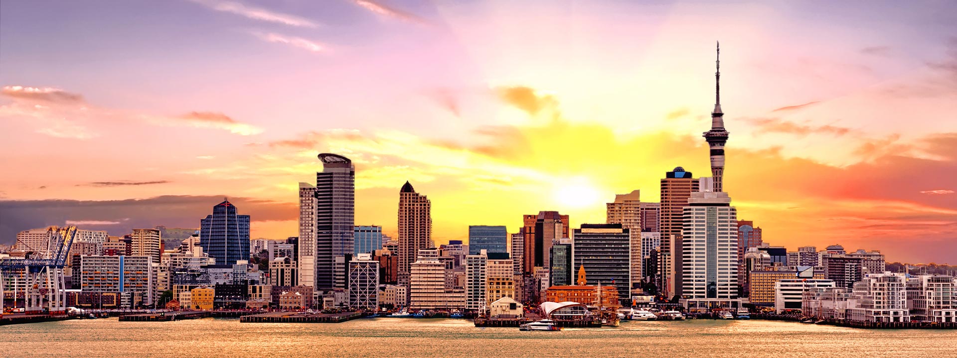 Auckland city landscape